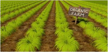 ORGANIC (National Programme for Organic Production)