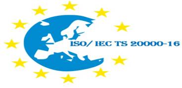 ISO/ IEC TS 20000-16