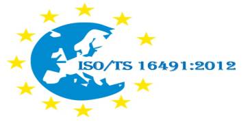 ISO/TS 16491:2012