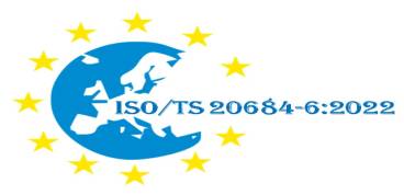 ISO/TS 20684-6:2022