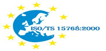 ISO/TS 15768:2000