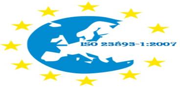 ISO 23893-1:2007