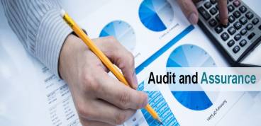 Auditing and Assurance